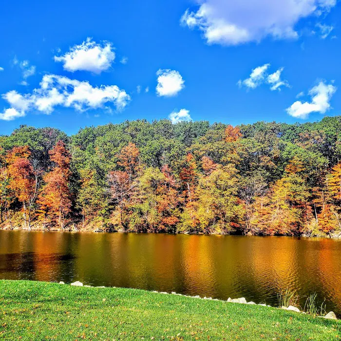 Mt. Gilead State Park Campground Picture 3