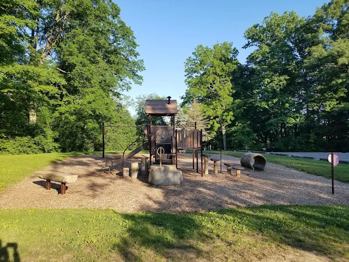 Mt. Gilead State Park Campground Picture 9