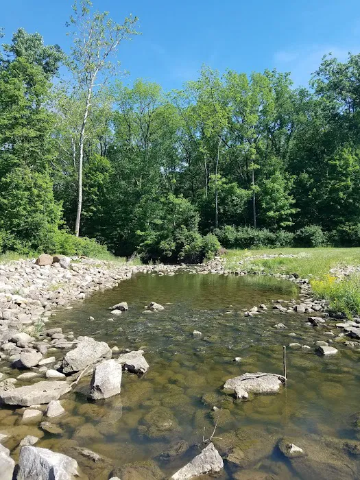 Mt. Gilead State Park Campground Picture 7