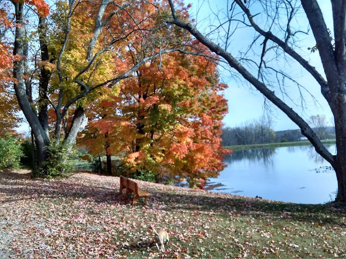 Berkshire Campground Picture 4