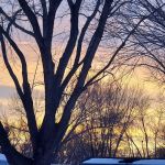 Cedarwood Estates