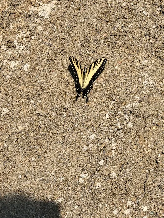 Alum Creek State Park Campground Beach Picture 8