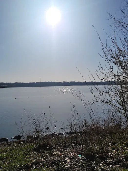Alum Creek State Park Campground Beach Picture 9