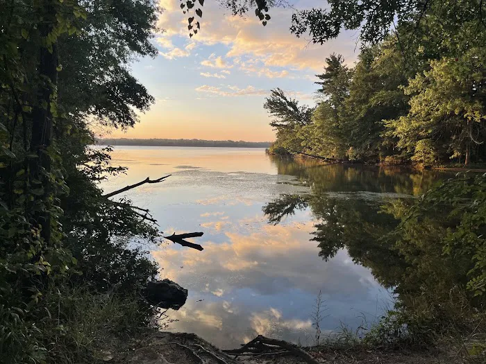 Alum Creek State Park Campground Beach Picture 3