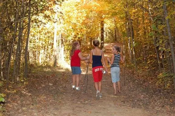 Cross Creek Camping Resort Picture 5