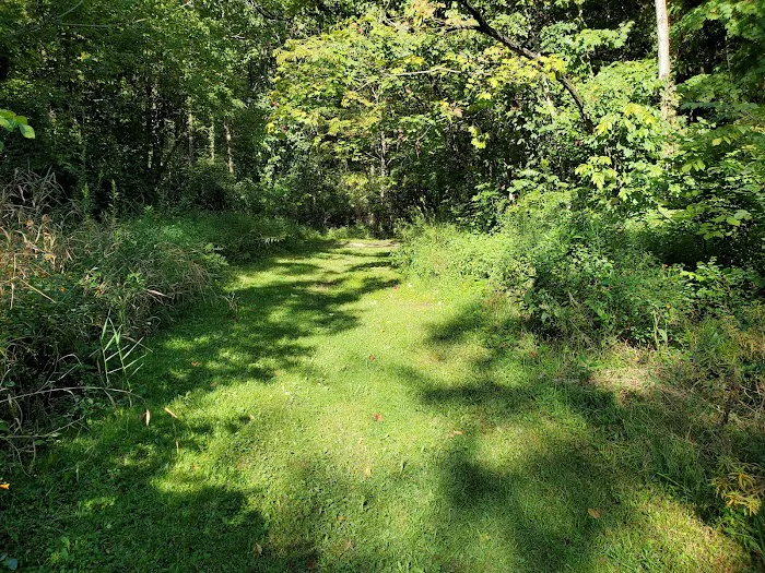 Alum Creek State Park Campground Picture 7