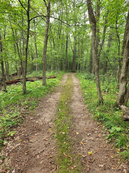 Lakeview Park Inc. Picture 9