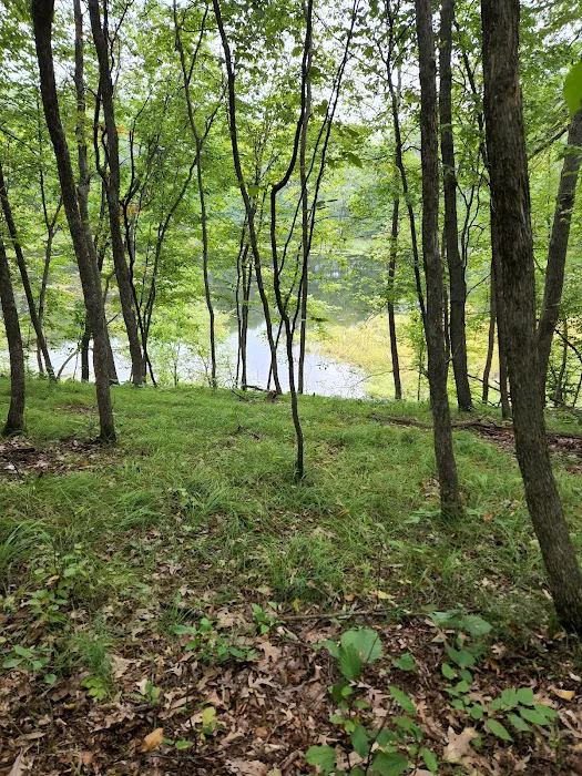 Lakeview Park Inc. Picture 8