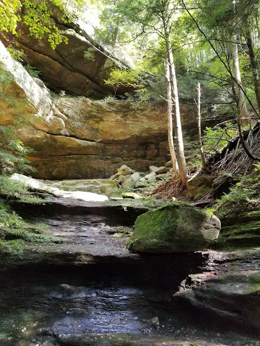Palmerosa Horse & Hike Campground Picture 4