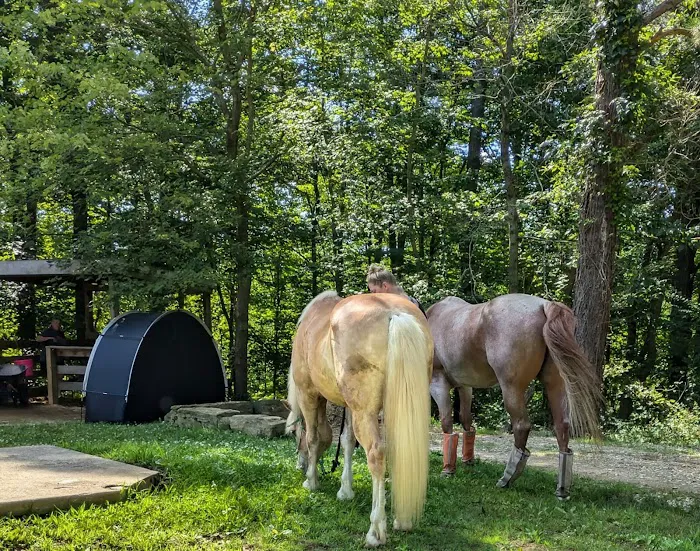 Palmerosa Horse & Hike Campground Picture 7