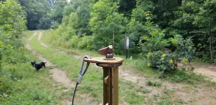 Camp Shroom Hocking Hills Picture 2