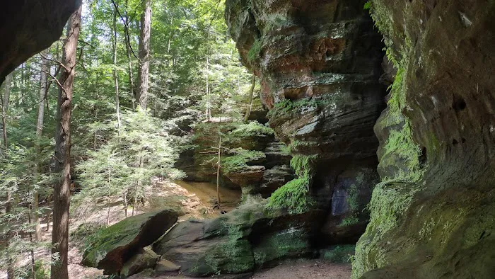 Camp Shroom Hocking Hills Picture 8