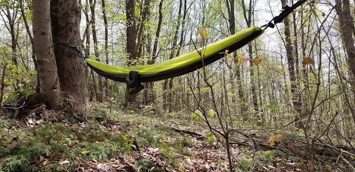 Camp Shroom Hocking Hills Picture 6