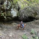 Elkins Creek Horse Camp & Tack