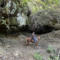 Elkins Creek Horse Camp & Tack ico