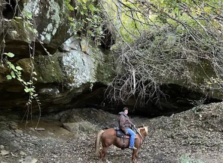 Elkins Creek Horse Camp & Tack