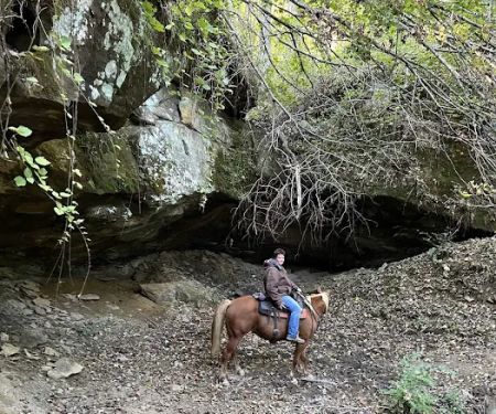 Elkins Creek Horse Camp & Tack