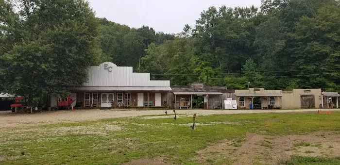 Elkins Creek Horse Camp & Tack Picture 4