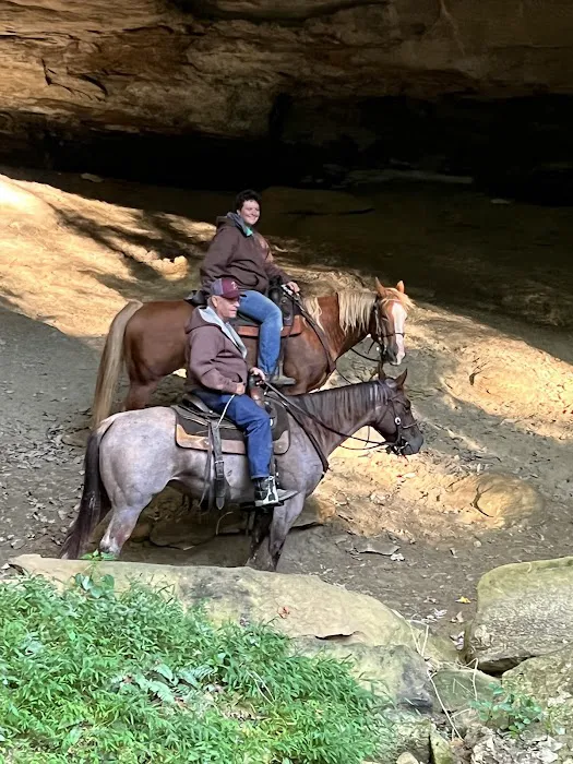 Elkins Creek Horse Camp & Tack Picture 2