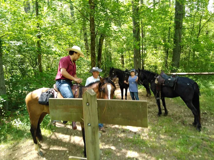Elkins Creek Horse Camp & Tack Picture 6