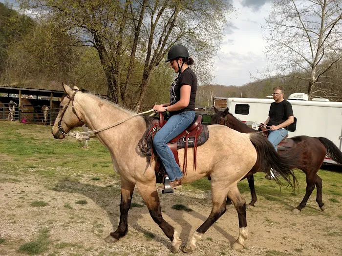 Elkins Creek Horse Camp & Tack Picture 8