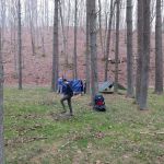 Paddle Creek Horse Camp