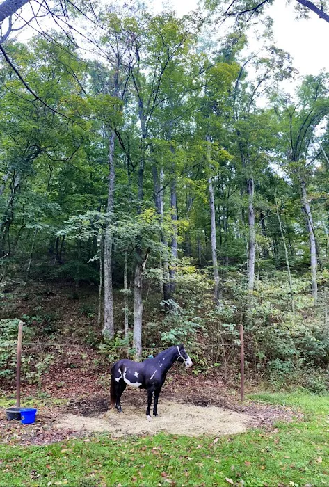 Paddle Creek Horse Camp Picture 7