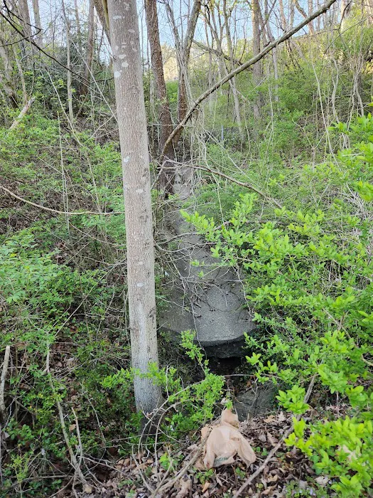 Walters Properties Campground Picture 8