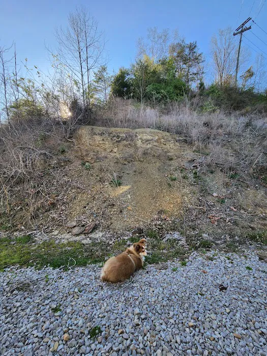 Walters Properties Campground Picture 7