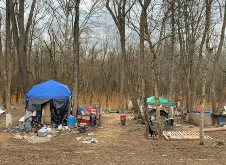 Camp Stan