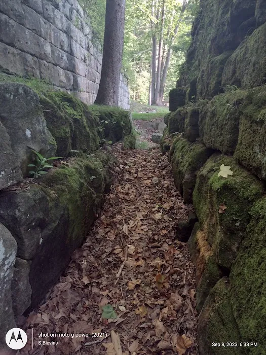 Lake Vesuvius Picnic Areas - Furnace Shelter Picture 1