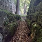 Lake Vesuvius Picnic Areas - Furnace Shelter
