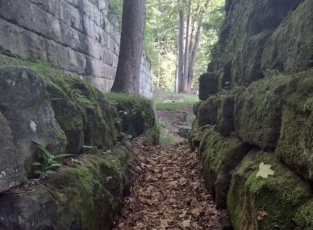 Lake Vesuvius Picnic Areas - Furnace Shelter