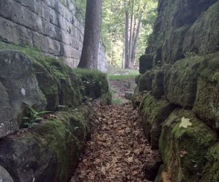 Lake Vesuvius Picnic Areas - Furnace Shelter