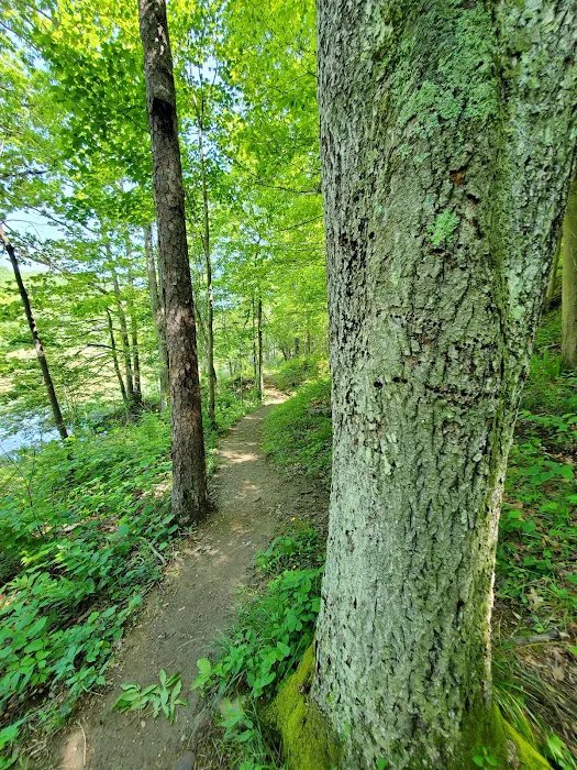 Oak Hill Campground Picture 6