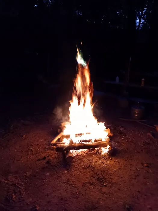 Turtle Bend, Camping and Events Picture 2