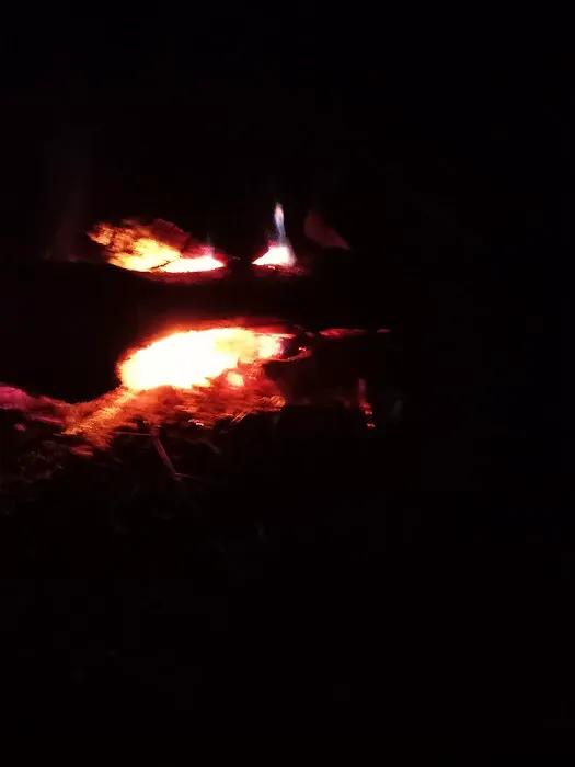 Turtle Bend, Camping and Events Picture 1