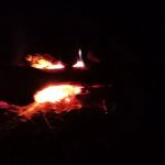 Turtle Bend, Camping and Events