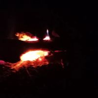 Turtle Bend, Camping and Events ico
