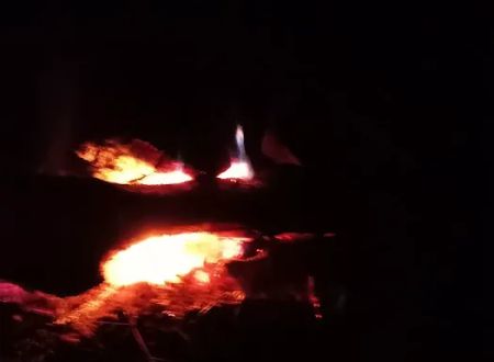 Turtle Bend, Camping and Events