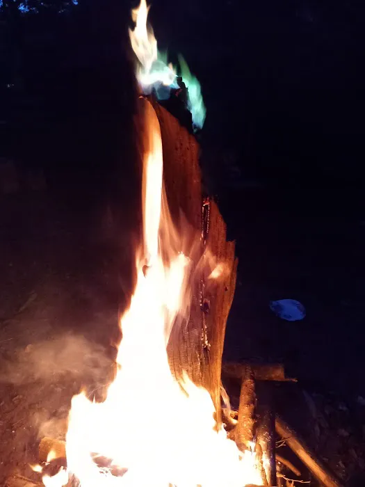 Turtle Bend, Camping and Events Picture 3