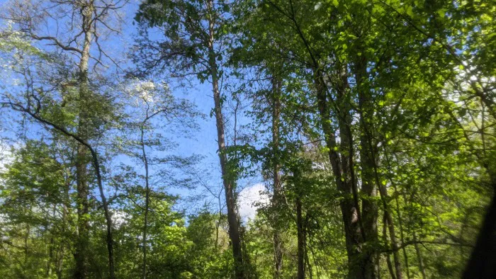 Hocking Hills Walk-in Camp Sites Picture 4