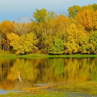 Mississippi Riverwood RV Park Min Rental One Month ico