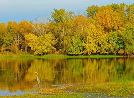 Mississippi Riverwood RV Park Min Rental One Month