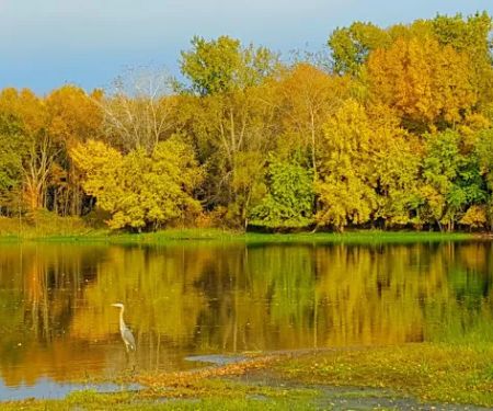 Mississippi Riverwood RV Park Min Rental One Month