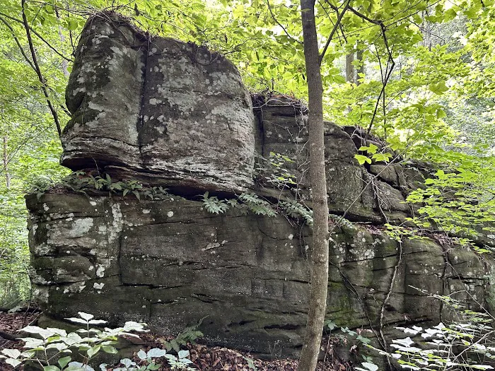 Rockwood Campground Picture 2