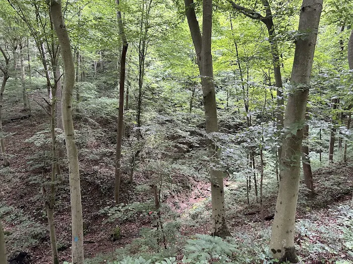 Rockwood Campground Picture 7
