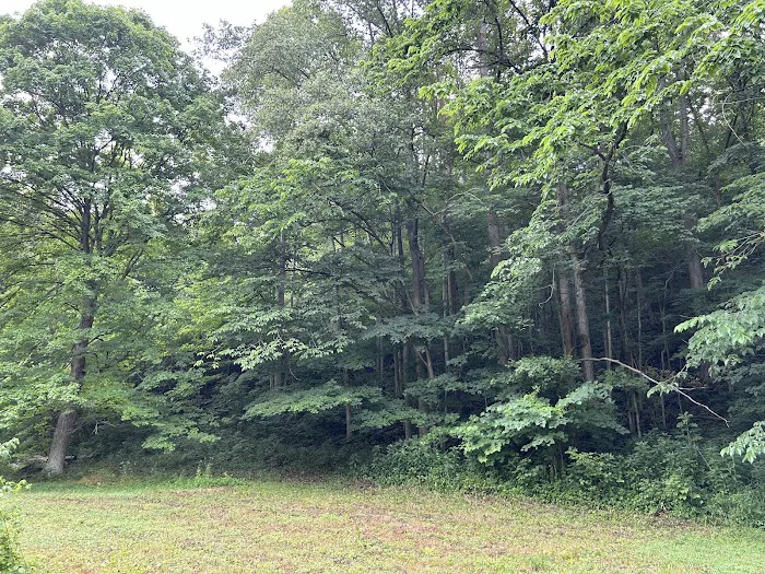 Rockwood Campground Picture 5