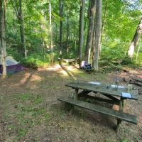 Dullen Loop Campsite ico