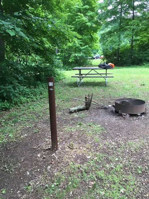 Scioto Trail State Park Walk-In Camping Area Picture 9